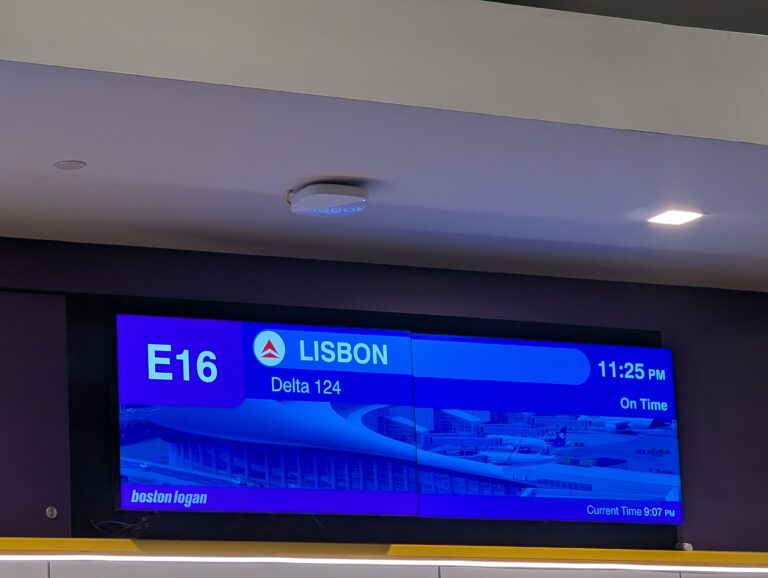 Read more about the article Returning to Portugal