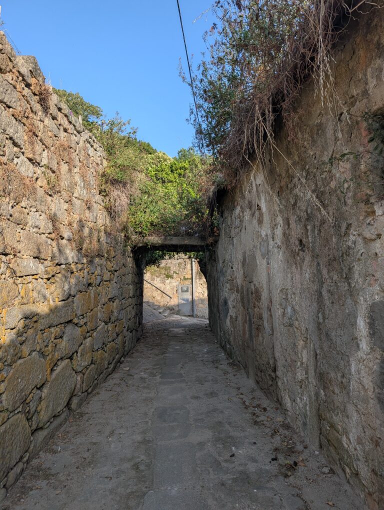 Read more about the article Afternoon Walk Through the Escadaria ‪Entre-Quintas