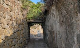 Afternoon Walk Through the Escadaria ‪Entre-Quintas