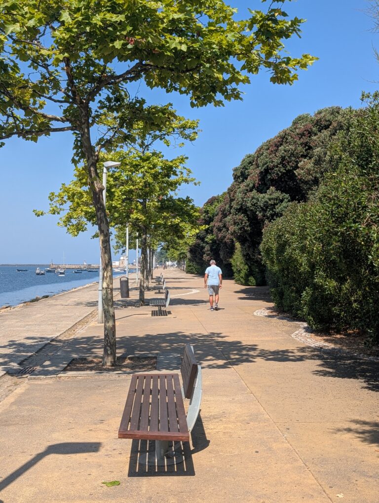 Read more about the article Walk to the Foz do Douro