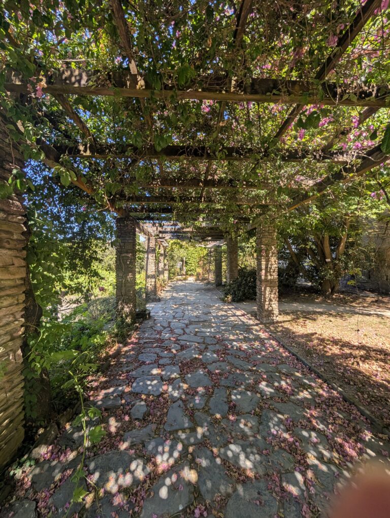 Read more about the article Botanical Garden