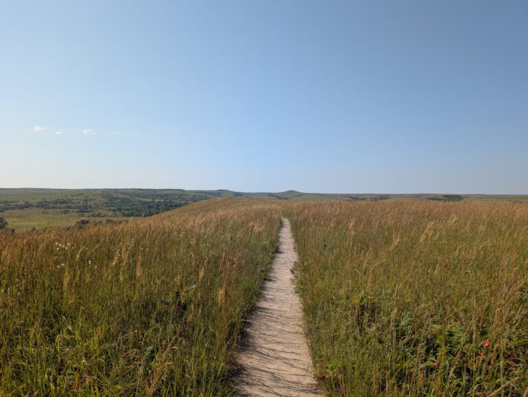 Read more about the article Konza Prairie Biological Station