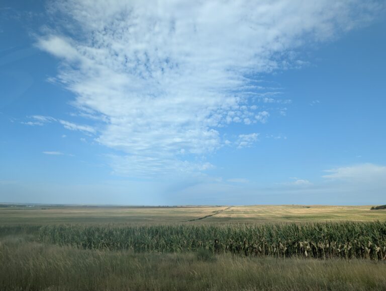 Read more about the article Wide Open Spaces