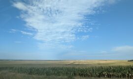 Wide Open Spaces