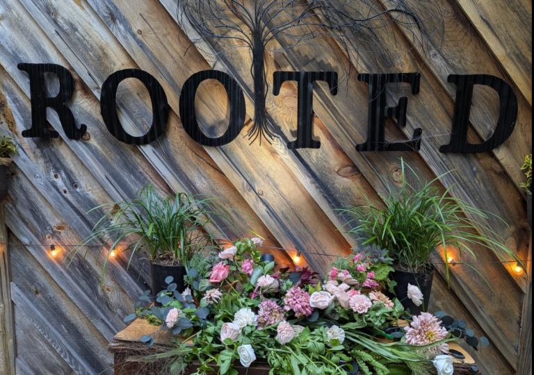 Read more about the article Last day Rooted in Maine